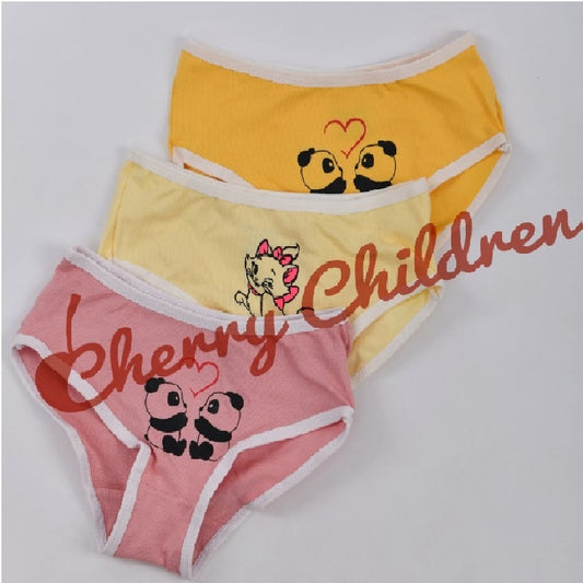 Pack 0f 3 Panty Diverse